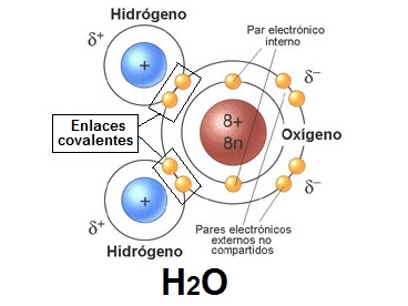 Estructuras covalentes