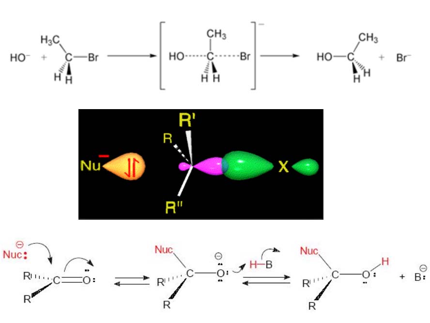 Nucleophilicity