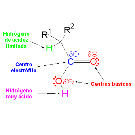 Reactividad de ácidos carboxílicos
