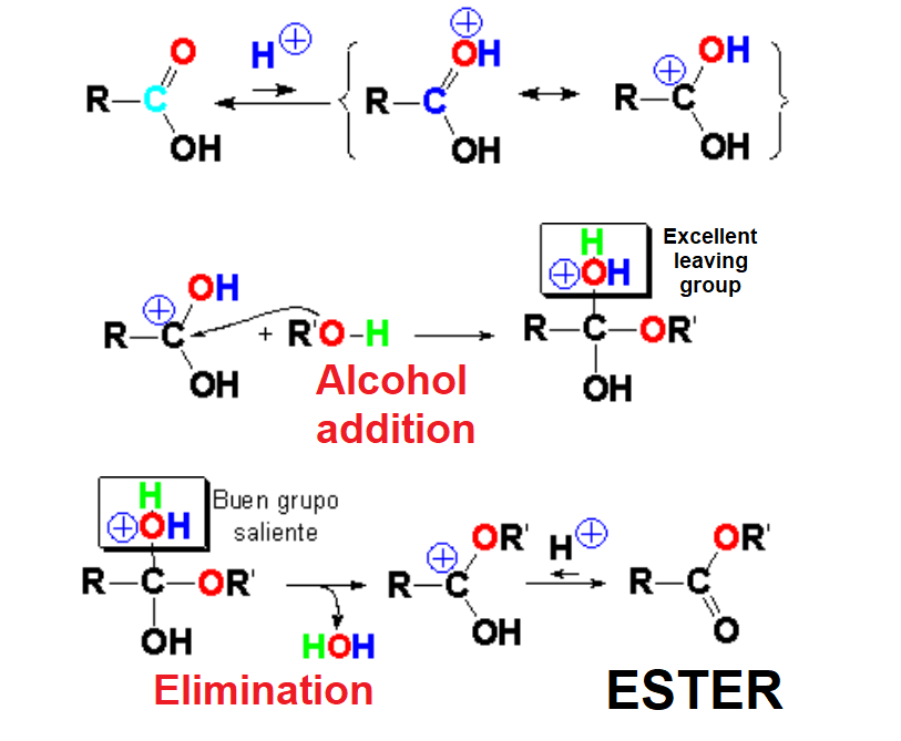 Formación de ésteres