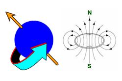 El magnetismo de los núcleos atómicos