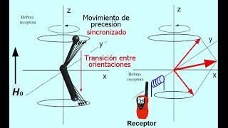 Fundamento RMN