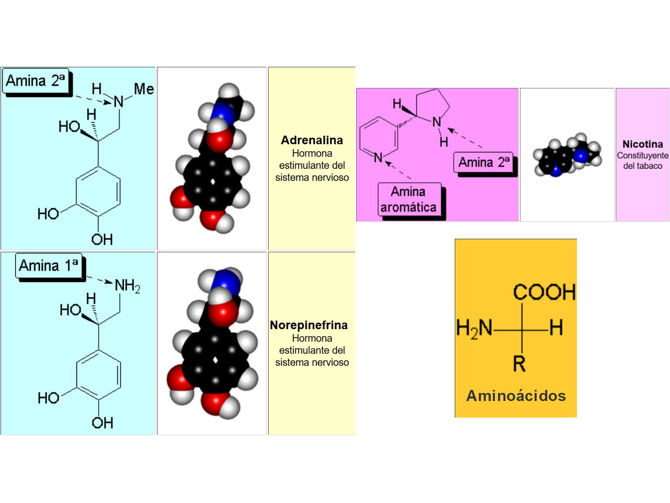 Nomenclature of amines