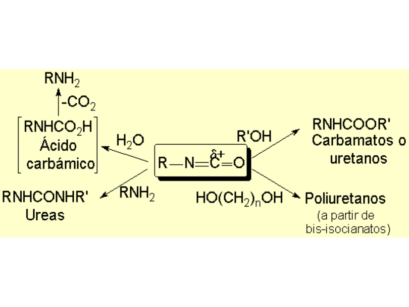 Isocianatos