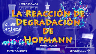 Video: Degradación de Hofmann