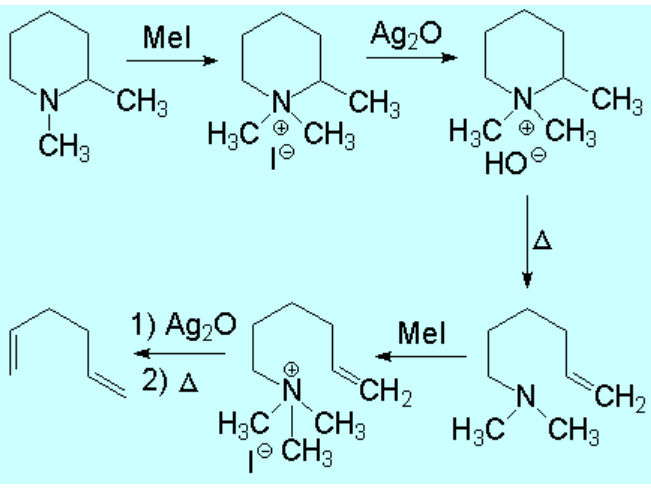 Hofmann degradation