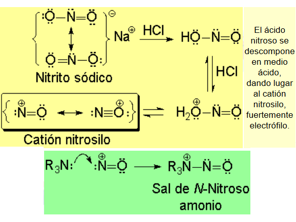 Nitrosación