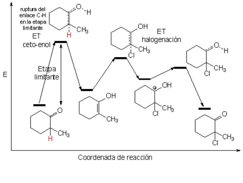 Halogenación