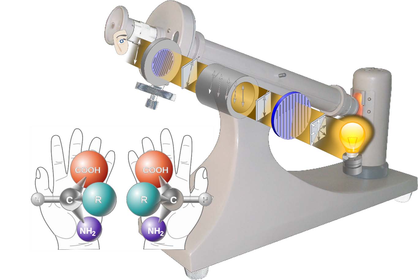 Chirality and Optical Activity