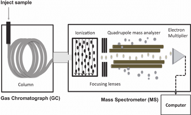 Analysis of molecular ions