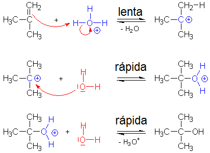 Adición de agua a alquenos